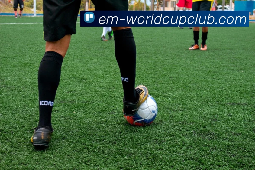 多媒体互动体验